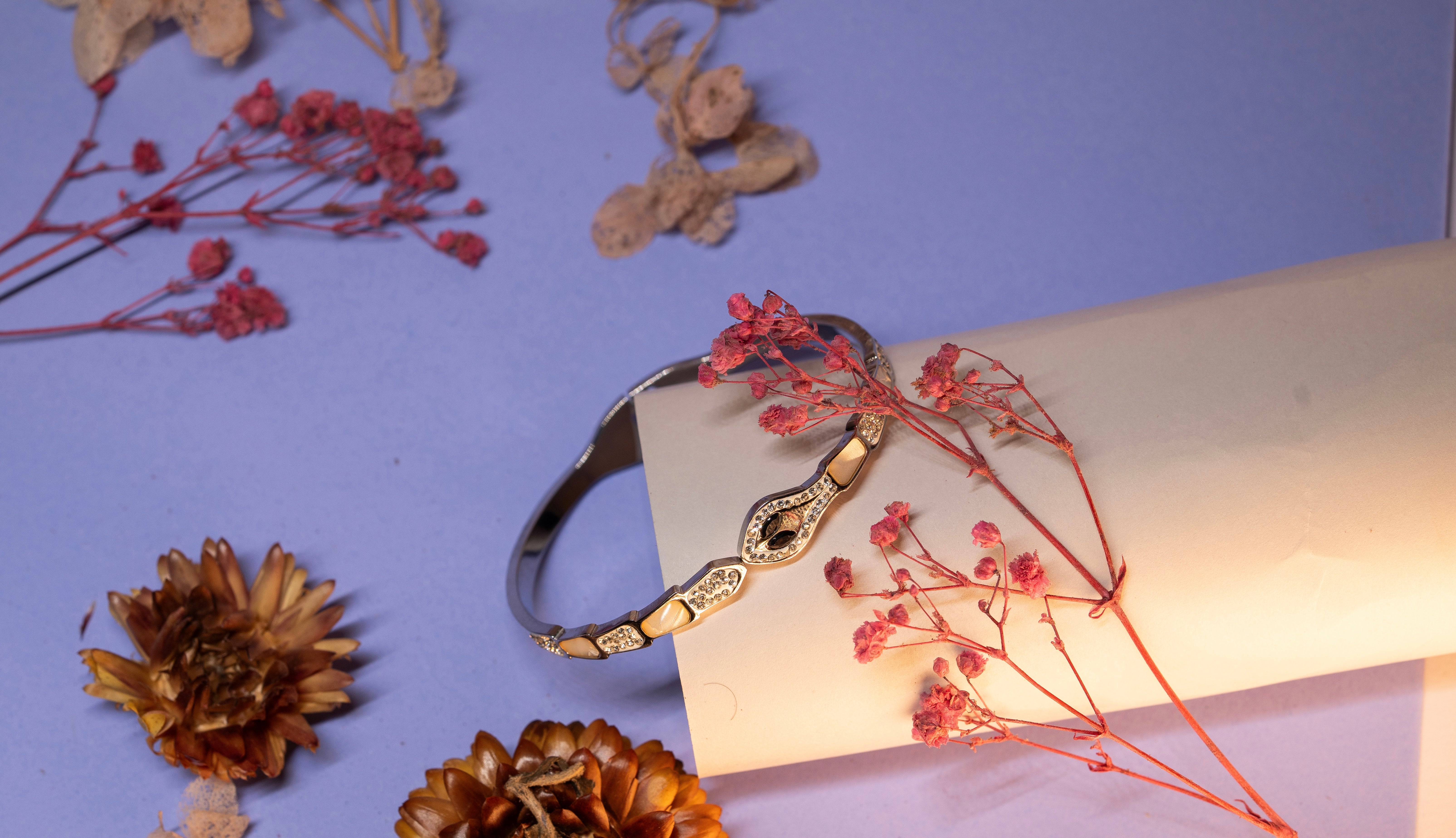 The Serpent's Silver Bracelet