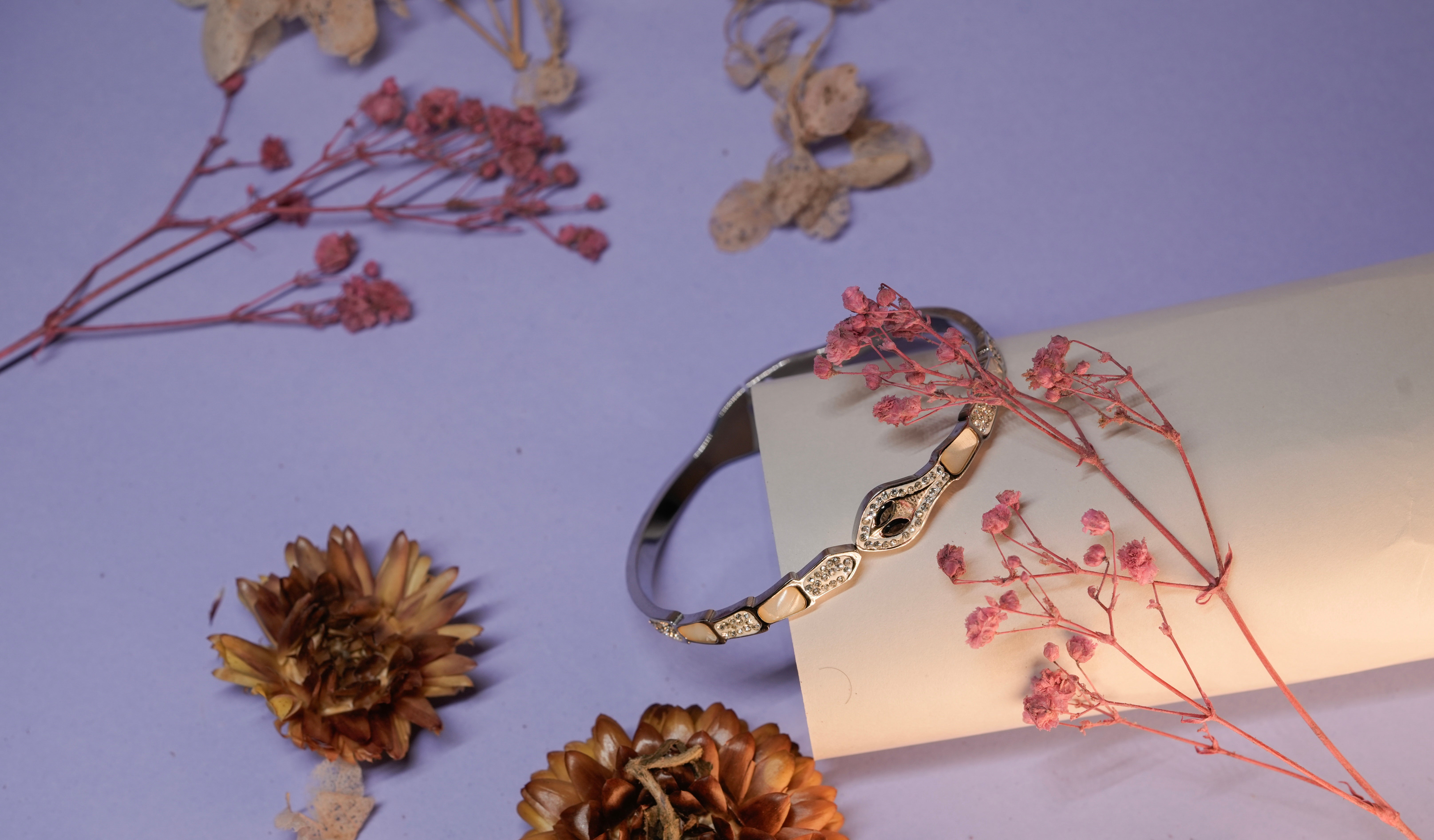 The Serpent's Silver Bracelet