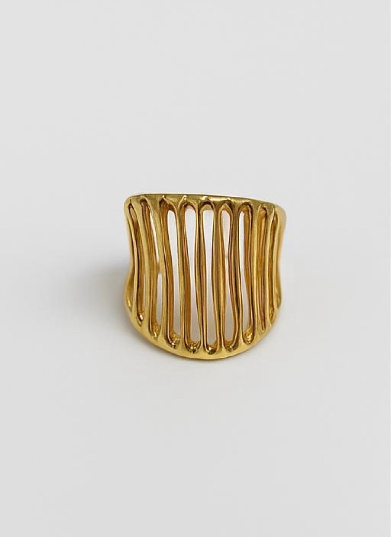 The Vertical Bar Cage Ring