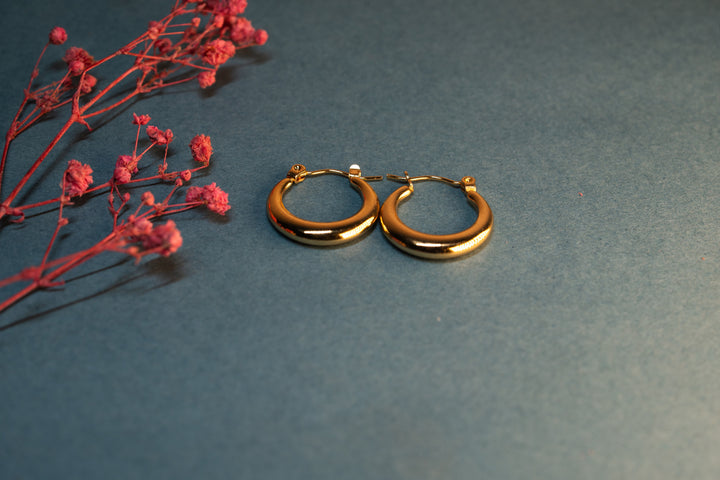 Hoop Earrings